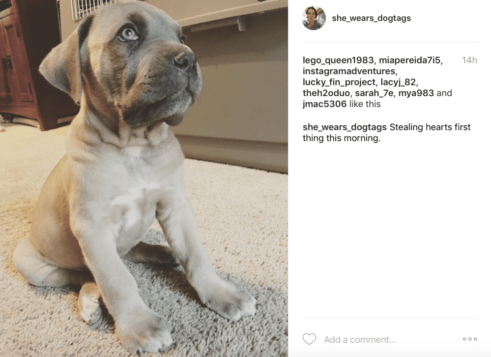 Screen Shot 2017-05-18 at 9.12.15 PM