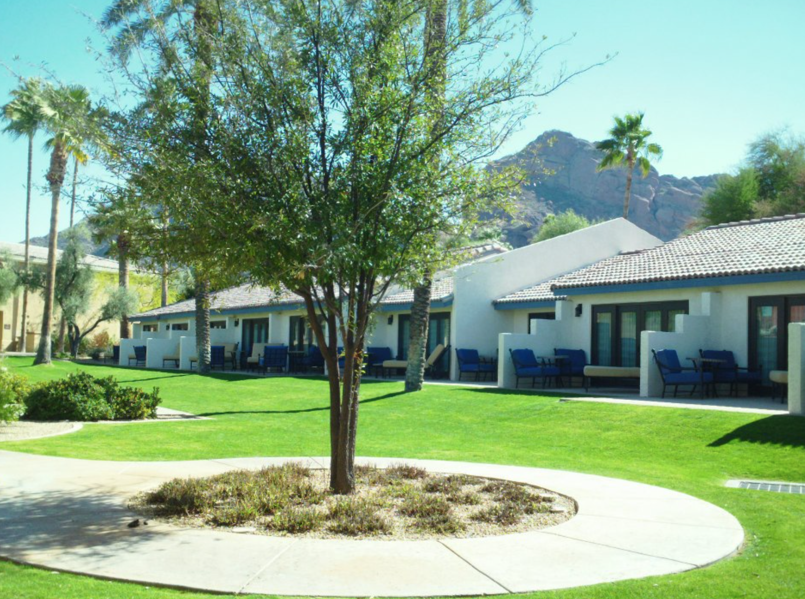 Screen Shot 2019-12-31 at 9.16.07 AM